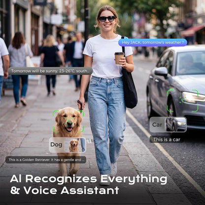Bluetooth AI Smart Glasses with 160+ Languages, Color-Changing Lenses, Built-in Speaker & Clear Audio - Real-time Language Translator Glasses for Travel, Meetings and Business Use